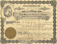 Ingram Stock Certificate #284