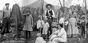 Ashley Taylor Family in Cane Field