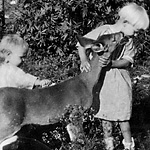 Mary & Juanita with deer b Taylor barn