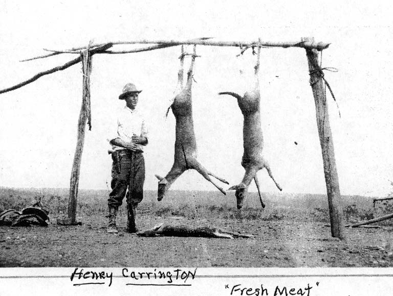 Henry Carrignton Coyote Ranch Hunt