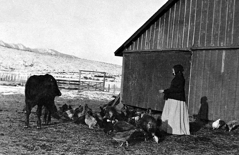 Sarah Ann Gorham with chickens