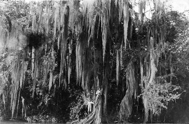 Bill & Tom Ingram on Sabinas River 1909