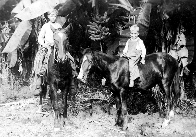 Joe & Lindy Taylor horseback in banana orchard