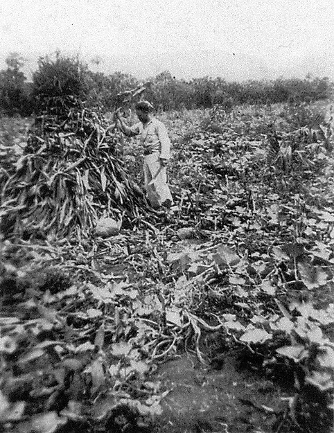 Wade Taylor in field