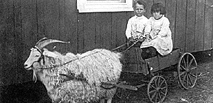 Everett & Clara Ricks in Wagon